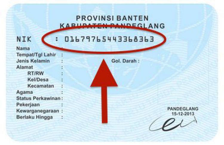 Contoh posisi NIK pada KTP